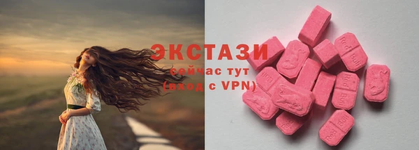 мдпв Горно-Алтайск